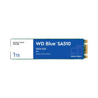 1 TB SSD M.2 WD BLUE (WDS100T3B0B) SATA M.2 2280 - A0147932