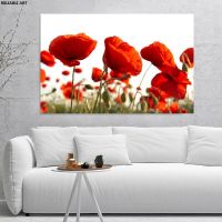 สไตล์นอร์ดิก Red Poppy ดอกไม้โปสเตอร์ภูมิทัศน์ผ้าใบพิมพ์สำหรับตกแต่งห้องนั่งเล่น Wall Art ภาพวาดตกแต่งบ้าน