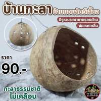 กะลานอนสัตว์เลี้ยง กะลาแขวนกรง แบบไม่เคลือบ