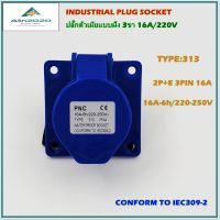 TYPE:DT-313 INDUSTRIAL PLUG ,POWER PLUG, SLOPING PANEL SOCKETS,เพาเวอร์ปลั๊ก,ปลั๊กอุตสาหกรรม,ปลั๊กตัวเมียฝัง รุ่นหน้าตรง 2P+E 3ขา16A 220V IP44 สินค้าคุณภาพพร้อมส่ง