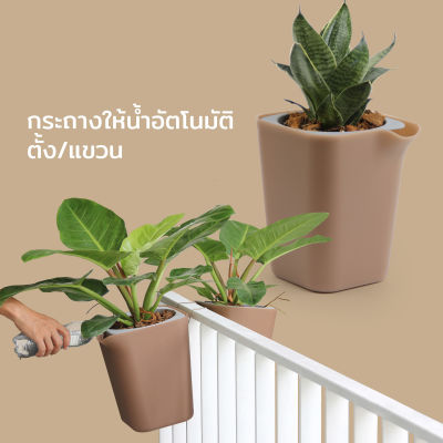 กระถางต้นไม้ กระถางให้น้ำอัตโนมัติ ตั้ง/แขวน ไซส์ S - Qualy Oasis square pot (S)