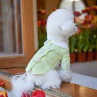 New Ins Printed Pet Coat Fresh Green Pet Two Legged Clothes Fashion Design Pet Dress Dog Dresses for Small Dogs Dresses