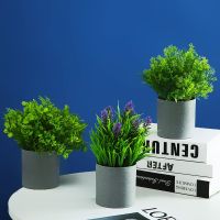 [COD] green plant eucalyptus potted fake flower home decoration office simulation