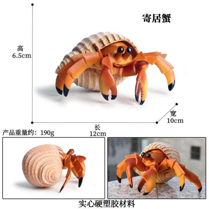 simulation-model-of-ocean-biological-children-toy-animals-crab-crab-crab-hermit-crab