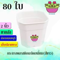 (80ใบ) papamami กระถางพลาสติก กระถางขาว แปดเหลี่ยม 2นิ้ว กระดิ่ง กระถางปลูกต้นไม้ กระถางต้นไม้ ที่ปลูกต้นไม้ กระถางแค็คตัส กระถางปลูกตอ