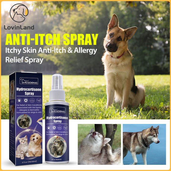 Dogs Natural Itch Soothing Spray Best AntiItch Spray for Dogs With