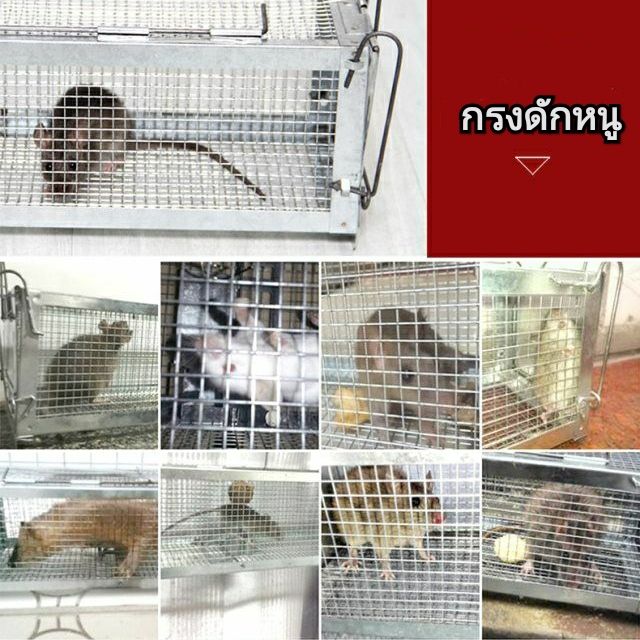 ที่ดักหนู-แข็งแรง-mouse-cage-cat-cage-กับดักกระรอก-กระแต-กรงดักหนูนา-มีบริการเก็บเงินปลายทาง