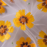 120pcs500pcs Dried Flower Coreopsis Basalis Flower DIY Drip Glue Pressed Flower Nail Art Soap Candle Paper Making Handmade