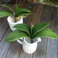 1PCS Real Touch Artificial Green Butterfly Orchid Plastic Leaf Beauty Plant Decor For Wedding Decor DIY Wreath Gift