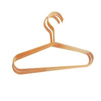 10Pack Metal Fashion Kids Clothes Hanger Baby Clothes Size Dividers, Space Saving Pants Hangers for Kids Clothes