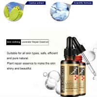 【CW】 Lavender Repair Essence Scar Removal Scar Essential Massage Oil For Pregnant Women Hyaluronic Acid Serum Oil Essential Face C0r1