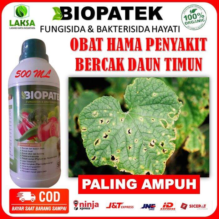 Biopatek Fungisida Bakterisida Hayati Obat Semprot Kresek Daun Timun