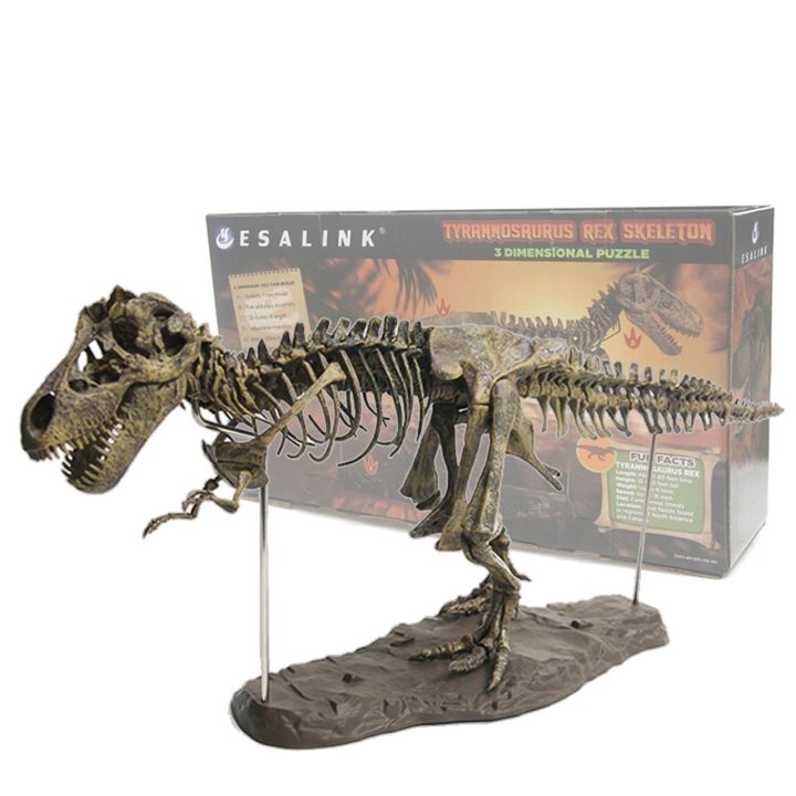 giant-dinosaur-skeleton-skeleton-skeleton-furnishing-articles-simulation-model-of-jurassic-assembled-dragon-tyrannosaurus-rex