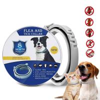 ZZOOI Flea And Tick Collar For Dogs Cats Up To 8 Month For Dogs Cats Collar Pet Adjustable Dog Collar for Small Dogs Insect Repellent