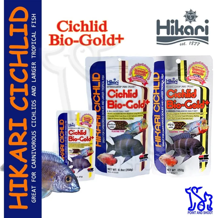 (DIRECT SUPPLIER) Hikari Cichlid Bio-Gold+ Floating Type Pellet Fish ...