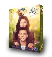 （READYSTOCK ）? Hd Domestic Tv Series 36 Episodes Tv Series Illuminate Your Dvd Disc Chen Weiting, Zhang Ruonan Mandarin YY