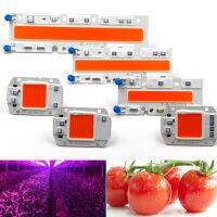 AC 110V 220V LED COB Lamp Chip 20W 30W 50W 100W 150W Full Spectrum LED Plant Grow Light Driverless Smart IC DIY LED Floodlights