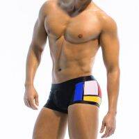 Sexy Male Swim Pants Low Rise swimsuit Mens Nylon Trunk Swimwear Brief Mens Swimming Surf Elastic Sunga Underpants