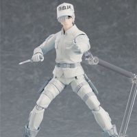 figma 489 White Blood Cell (Neutrophil) / ฟิกม่า เม็ดเลือดขาว เซลล์ขยันพันธุ์เดือด โมเดล ฟิกม่าร์ ฟิกเกอร์แท้ อนิเมะ