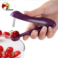 【CC】▥◘℡  BEEMAN Fixture Baking Salad Supplies Fruit and Vegetable Tools