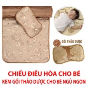 Chiếu Điều Hòa Chống Thấm Kèm Gối Thảo Dược Giúp Bé Ngủ Sâu Giấc