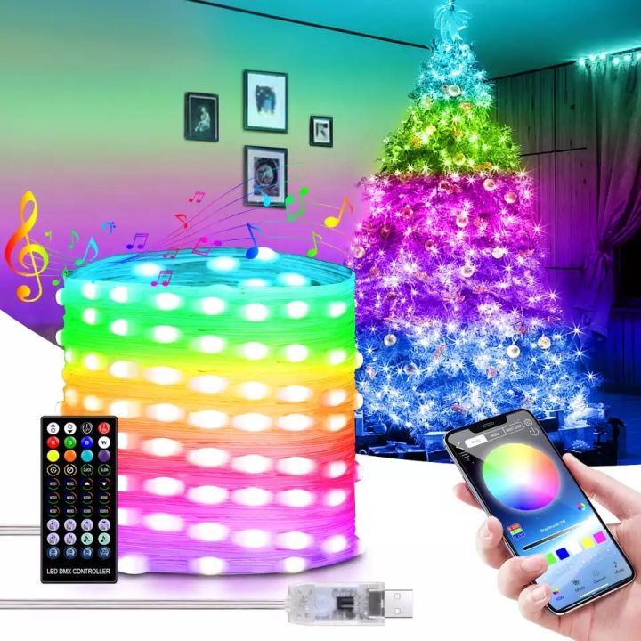 RGB IC Fairy Light Indoor LED String Lights for Home Outdoor Corridor  Decoration USB Holiday MultiColor Garland with App Control