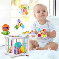 Baby Shape Sorter Sensory Toys Montessori Toys for Boys Girls Suction Cup Spinner Toys for 1 2 3 Years Old Baby Toys 12-18 Month