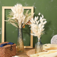 【Be worth】 Jime Shops 30Pcs ดอกไม้แห้งธรรมชาติหางกระต่าย Eucalyptus Bunch Lagurus Ovatus ดอกไม้จริงช่อดอกไม้สำหรับ Diy Home งานแต่งงาน Decor