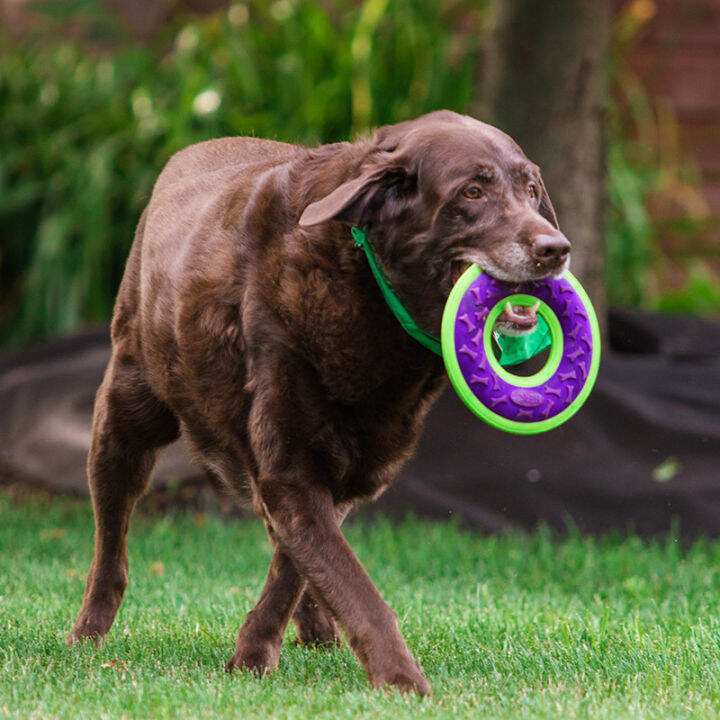 American pet big dog toy sound cloth frisbee flying saucer bite