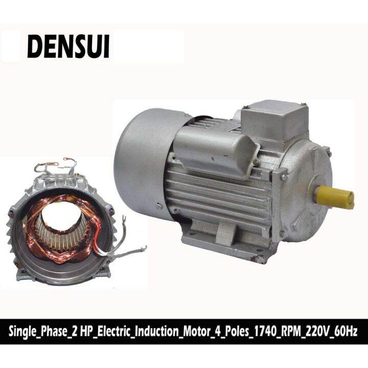 Densui 2HP COPPER Induction Motor 100 Copper Lazada PH