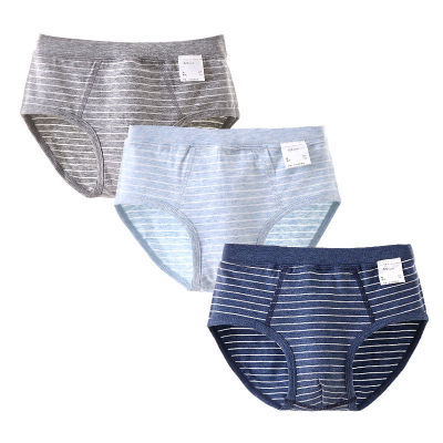 4PcsLot Boys Underwear Cartoon 2-18 Years Toddle Boy Shorts Pure Cotton Kids Panties Sets Blue Striped Childrens Underpants