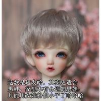 【doll Wigs วิกผมตุ๊กตา DW012 1/3 และ 1/4 และ 1/6 สามขนาด และสีจาก Pao Pao