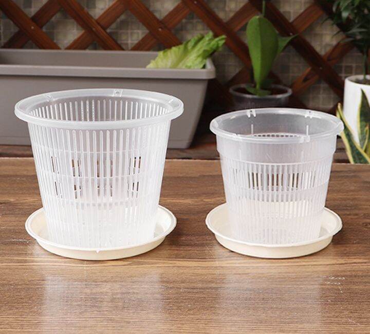 cc-root-controlled-transparent-flowerpot-for-cattleya-planting-with-stomata-home-decoration-plastic