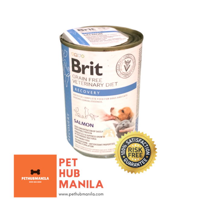 Brit Recovery Grain Free Wet Dog Food Salmon Flavor 400g Lazada PH