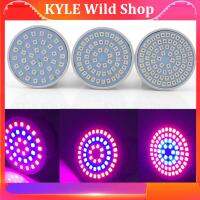 KYLE Wild Shop 110V 36/54/72 LED Plant Grow Light Lamps Indoor Cultivo Flower Red Blue Growing Light For Hydro Growbox Fitolampy