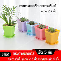 กระถางแคคตัส กระถางต้นไม้ ขนาด 2.7 นิ้ว สีพาสเทล เซ็ต 5 ชิ้น