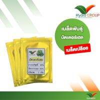 (Flash-Sale) เมล็ดพันธุ์ผักบัตเตอร์เฮด ชนิดเปลือย By Hydroponicgroup สุดคุ้ม