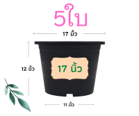 กระถางต้นไม้ 17 นิ้ว 5 ใบ  กระถางต้นไม้พลาสติก กระถาง กระถางแคตตัส  กระถางพลาสติก สีดำ สีขาว ราคาส่ง