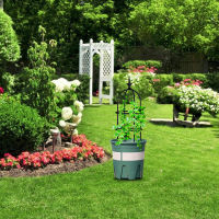 Trellis Support Plant Climbing Pole Garden Tower Frame Cage Roses Vines Layer Design ผักดอกไม้หวาย Rack Stake Lattice