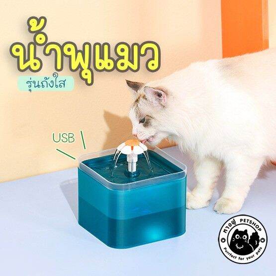 น้ำพุแมว-ถังใส-จุ2ลิตร-มีไฟ-น้ำพุแมว-usb-ให้น้ำแมว-มีกรอง2จุด-fo32