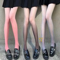 【CW】Women Pantyhose Tights Gradient Girl Candy Color Pantyhose Spring Summer Thin Transparent Female Stockings ร้านขายชุดชั้นใน