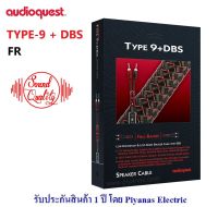 AUDIOQUEST : TYPE-9 + DBS  FR (8FT) , (3.0M) , (5.0M)