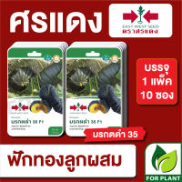 ผักซอง ศรแดง เมล็ดพันธุ์ พันธุ์ผัก ฟักทอง มรกตดำ F1 บรรจุแพ็คล่ะ 10 ซอง ราคา 230 บาท