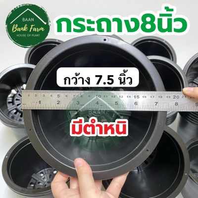 กระถาง8นิ้ว สีดำ มีตำหนิแพ็ค50ใบ ค่าส่งถูกมาก (ขนาดจริง 7.5นิ้ว) คุณภาพดี ราคาถูกมาก กระถางราคาถูก กระถางพลาสติก กระถางต้นไม้ กระถาง