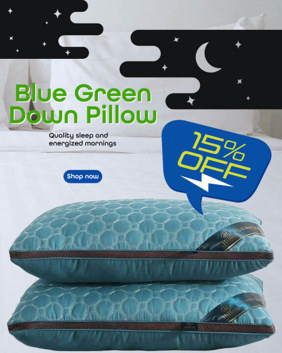 Down Pillow Hilton in Blue Green Lazada PH