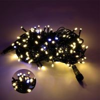 20M Black line Outdoor LED String Fairy Light Holiday Christmas Wedding Decoration AC220V Waterproof Outdoor Light Garland