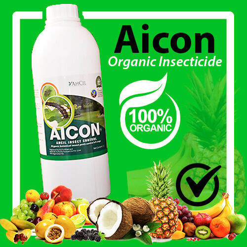 Aicon Organic Insecticide For Foliar Spraying and Soil Drenching, Natural Botanical Insecticide