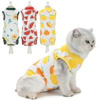 Pet Cat Clothes Spring Summer Cats Sterilization Suit Puppy Breathable Jumpsuits Clothing Recovery Anti Licking Wounds Suits