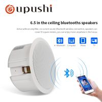 Bluetooth Ceiling Speaker 6.5 Inch PA System 10W Roof Loudspeakers For Bathroom Rstaurant