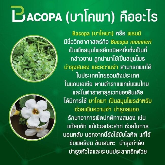 บาโคพา-bacopa-ผลิตภัณฑ์เสริมอาหาร-สารสกัดจากพรมมิ-ผสมวิตามินซี-วิตามินบี-12-และวิตามินบี-6